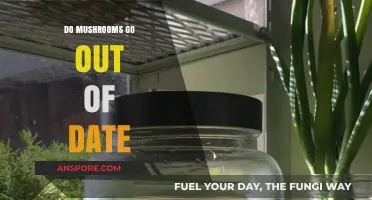 Do Mushrooms Expire? Shelf Life and Storage Tips Explained