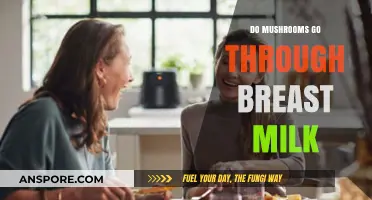 Mushrooms in Breast Milk: What Nursing Moms Need to Know