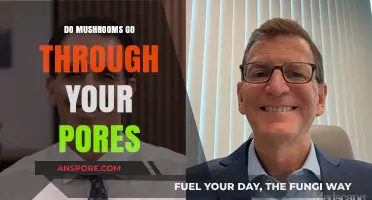 Can Mushrooms Absorb Through Skin Pores? Separating Fact from Fiction