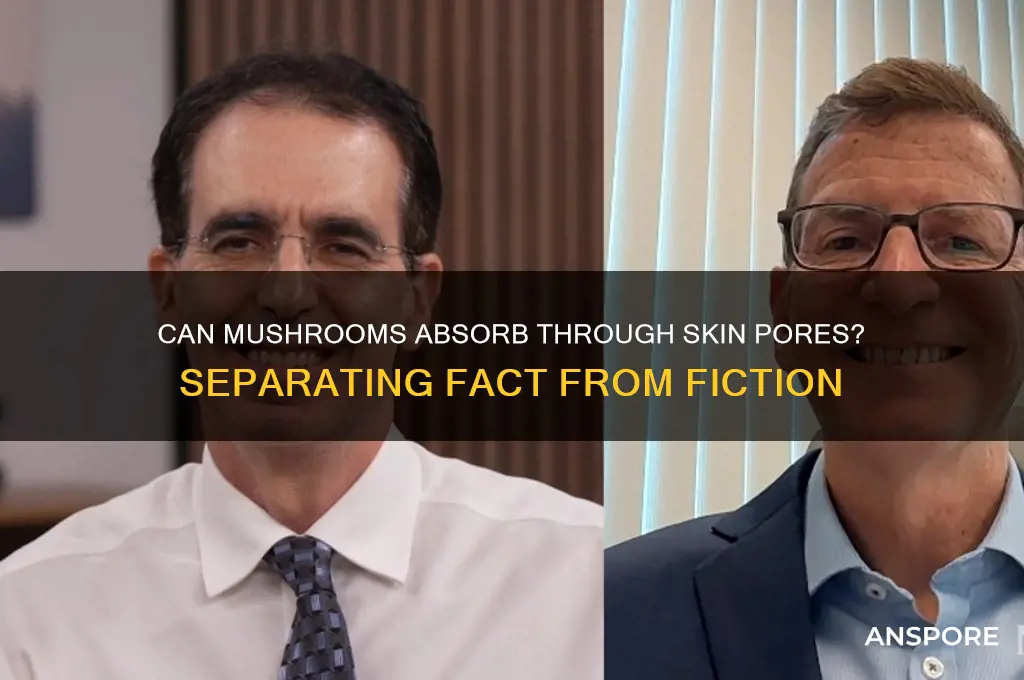 do mushrooms go through your pores