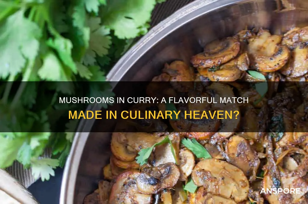 do mushrooms go well with curry