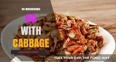 Combining Cabbage and Mushrooms: A Culinary Adventure