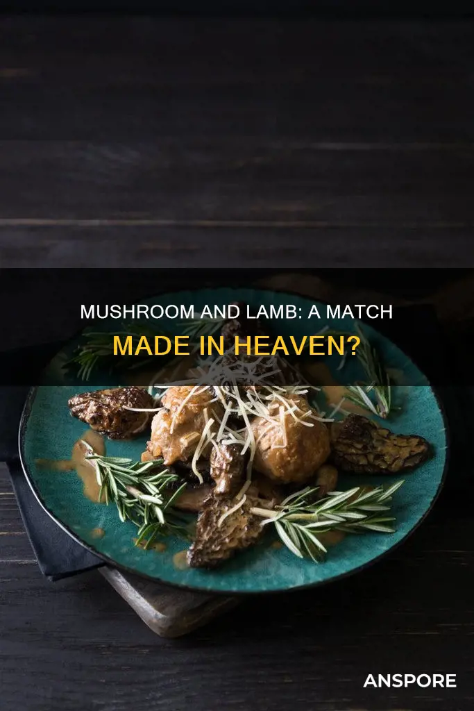 do mushrooms go with lamb