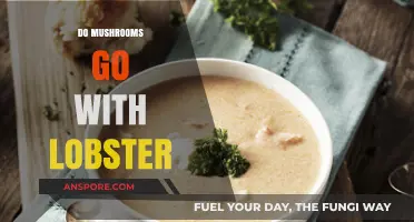 Lobster and Mushrooms: A Culinary Adventure