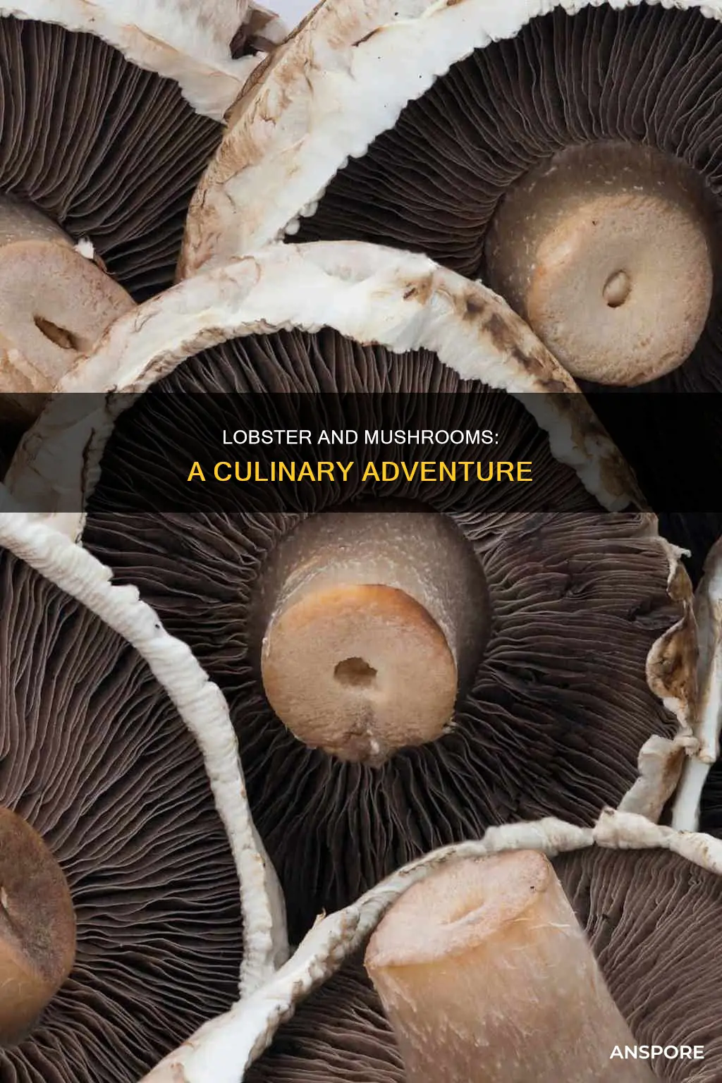do mushrooms go with lobster