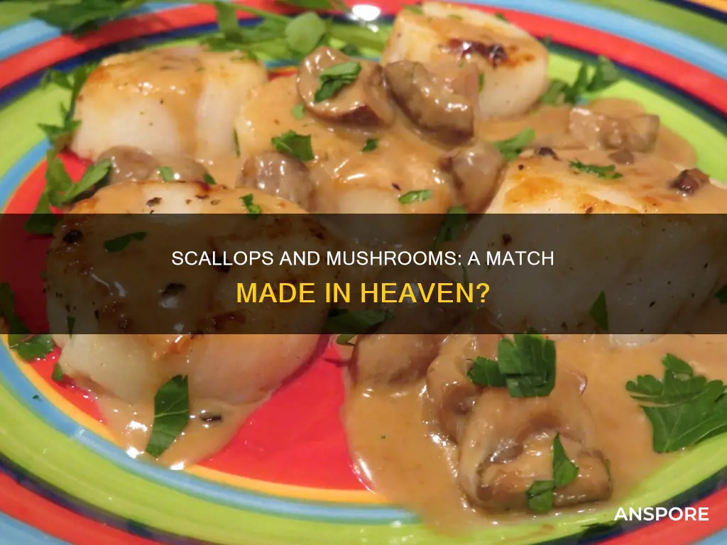 do mushrooms go with scallops