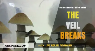 Mushroom Veil Break: Does It Trigger Growth or Signal Decline?