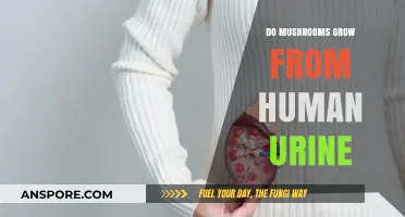 Can Mushrooms Thrive on Human Urine? Exploring the Surprising Connection