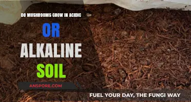 Mushrooms and Soil pH: Acidic or Alkaline for Optimal Growth?