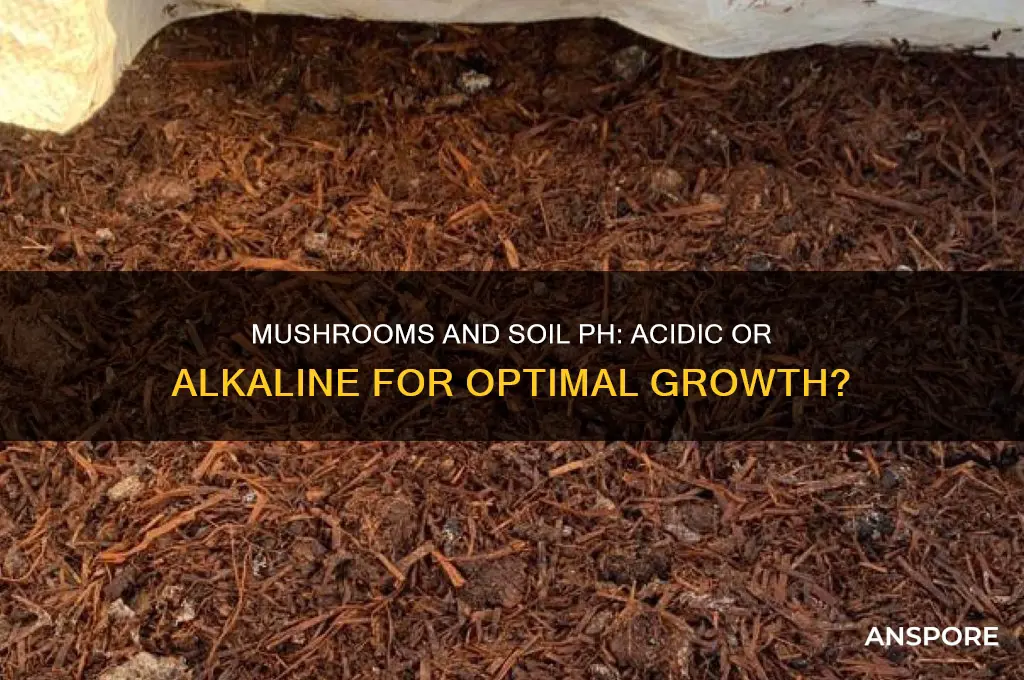do mushrooms grow in acidic or alkaline soil