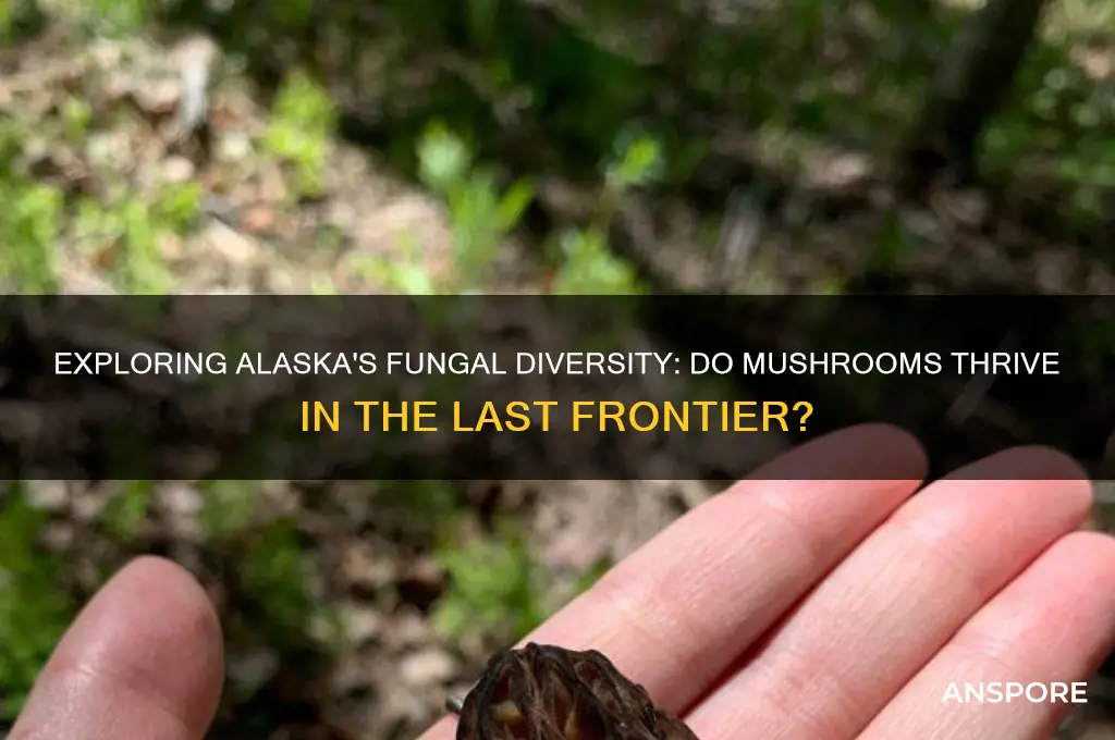 do mushrooms grow in alaska