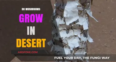 Can Mushrooms Thrive in Arid Deserts? Unveiling the Surprising Truth