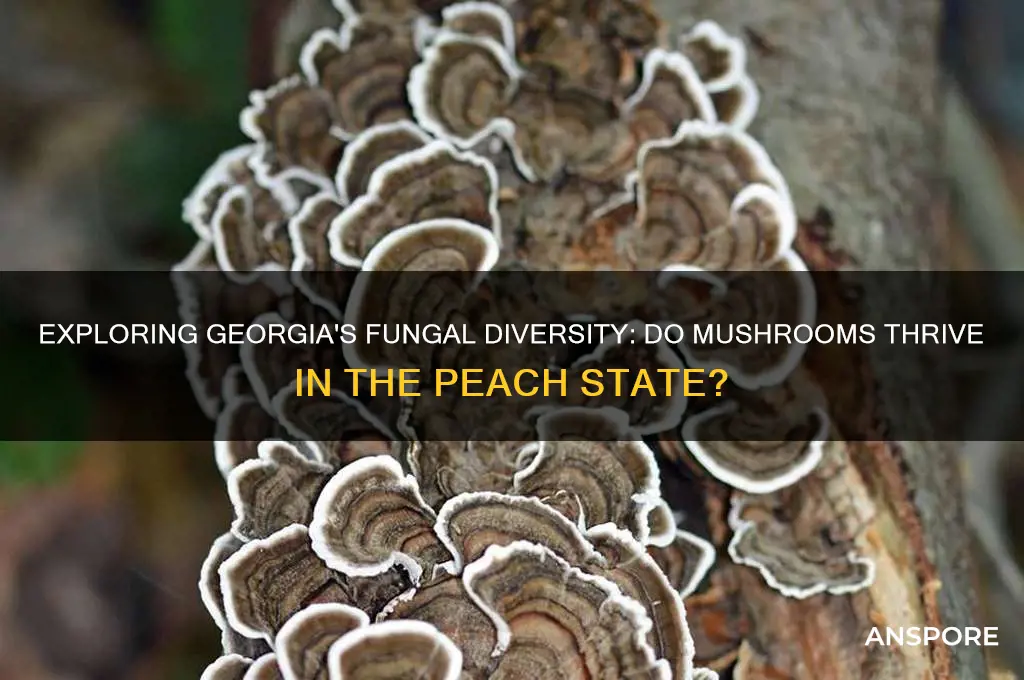 do mushrooms grow in georgia