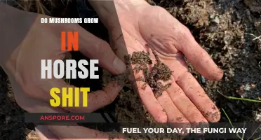 Can Mushrooms Thrive in Horse Manure? Surprising Facts Revealed
