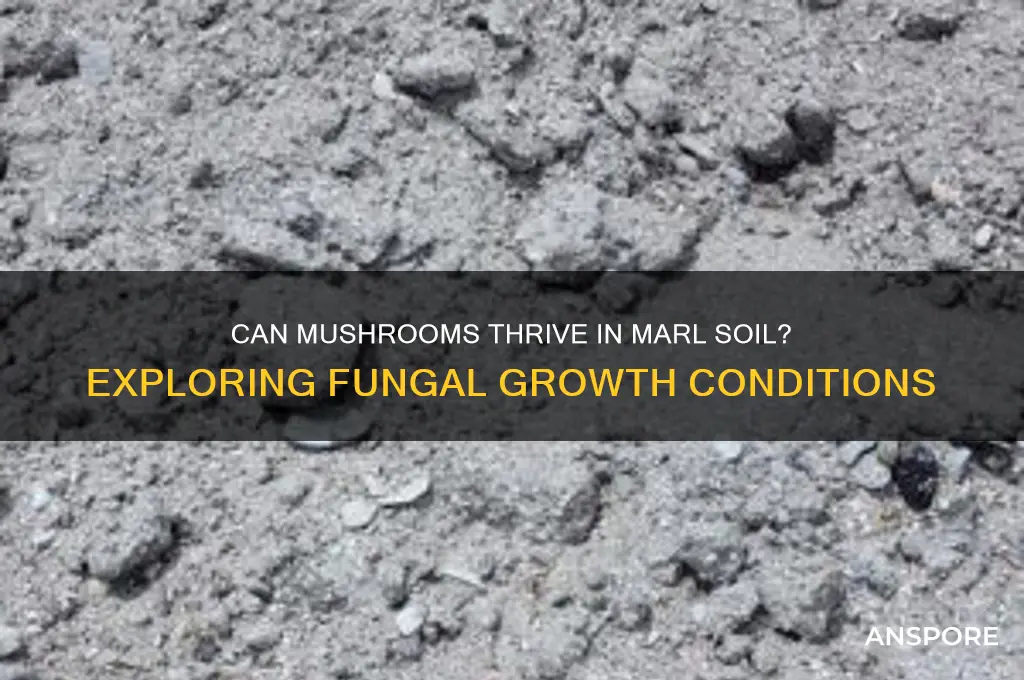 do mushrooms grow in marl