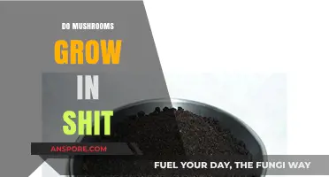 Do Mushrooms Thrive in Manure? Unveiling the Surprising Truth