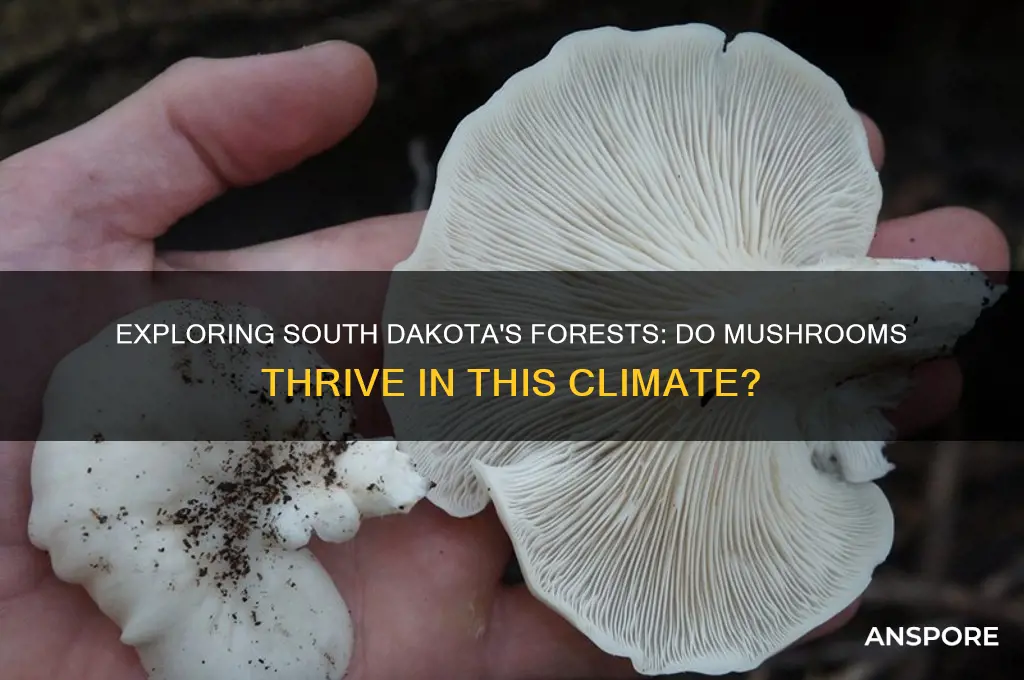 do mushrooms grow in south dakota