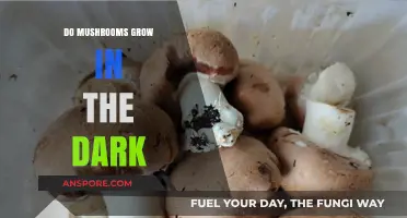 Do Mushrooms Thrive in Darkness? Unveiling Their Hidden Growth Secrets