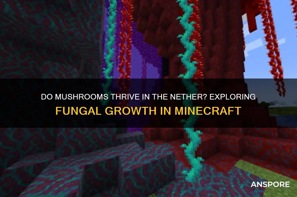 do mushrooms grow in the nther