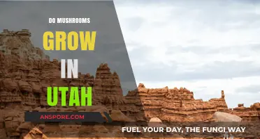 Exploring Utah's Fungal Diversity: Do Mushrooms Thrive in the Beehive State?