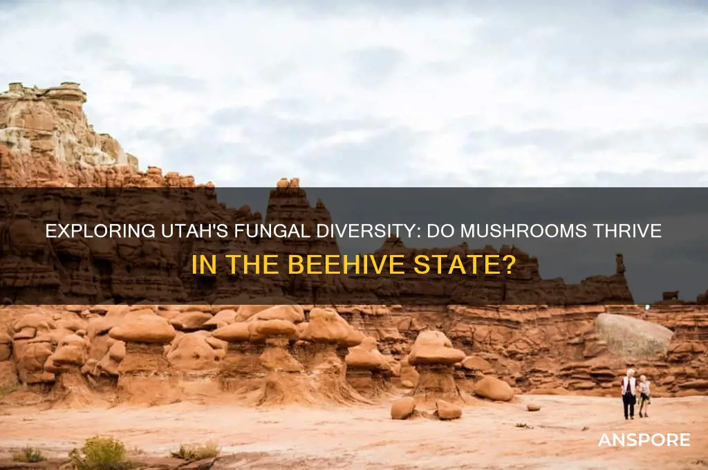 do mushrooms grow in utah