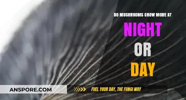 Mushroom Growth Patterns: Night vs. Day - Unveiling the Optimal Time