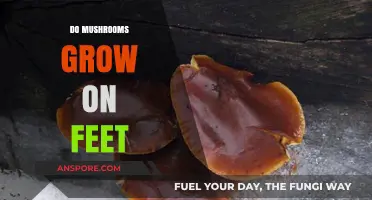 Can Mushrooms Grow on Feet? Uncovering the Truth Behind the Myth