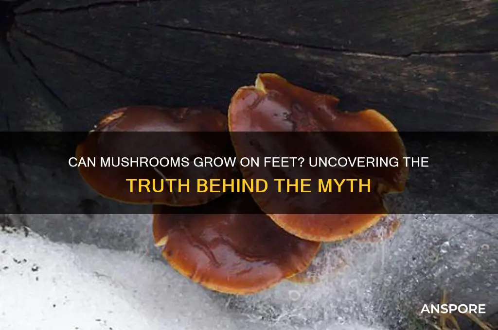 do mushrooms grow on feet