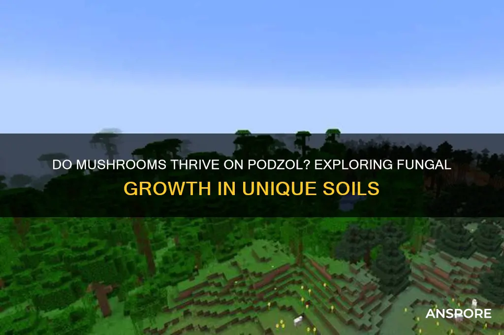do mushrooms grow on podzol