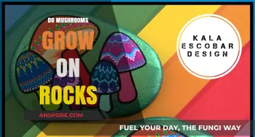 Can Mushrooms Thrive on Rocks? Unveiling the Surprising Truth