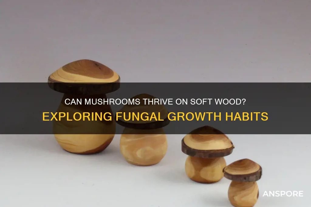 do mushrooms grow on soft wood