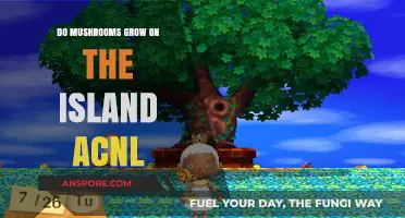 Mushroom Growth on ACNL Island: Facts and Tips for Players