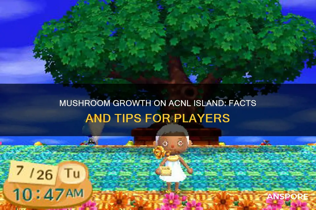 do mushrooms grow on the island acnl