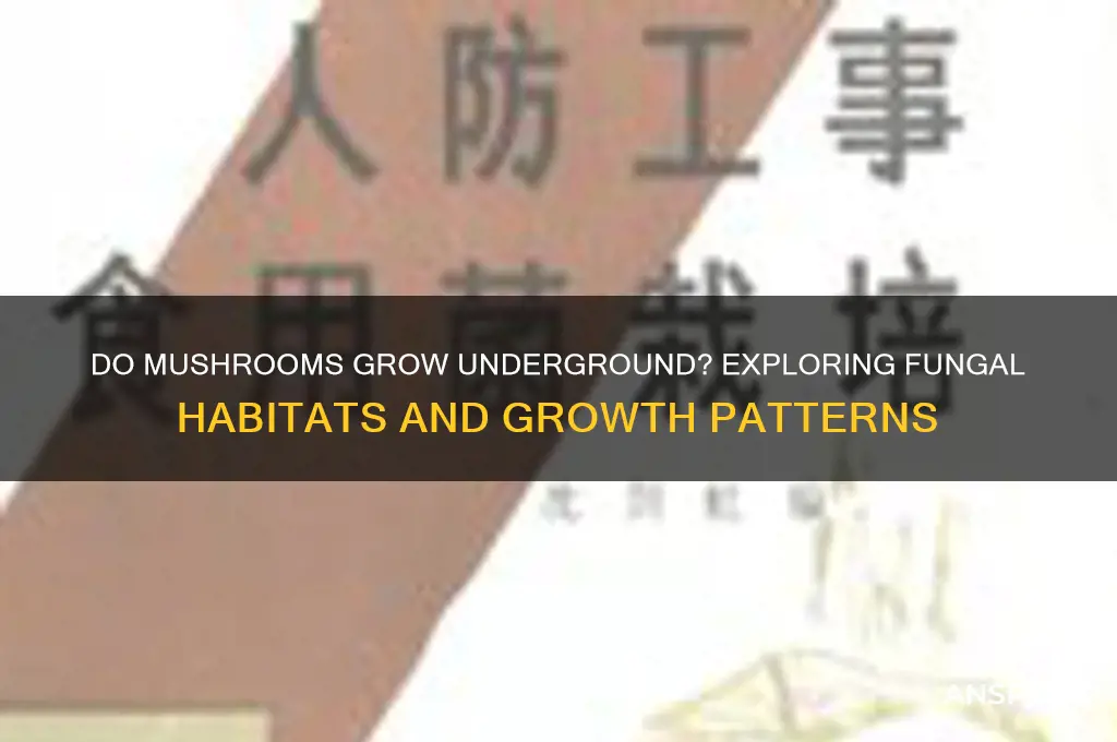 do mushrooms grow underground