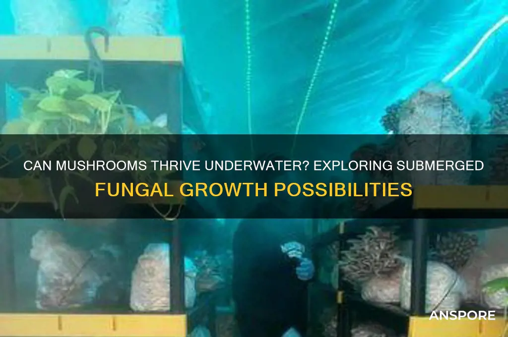 do mushrooms grow underwater