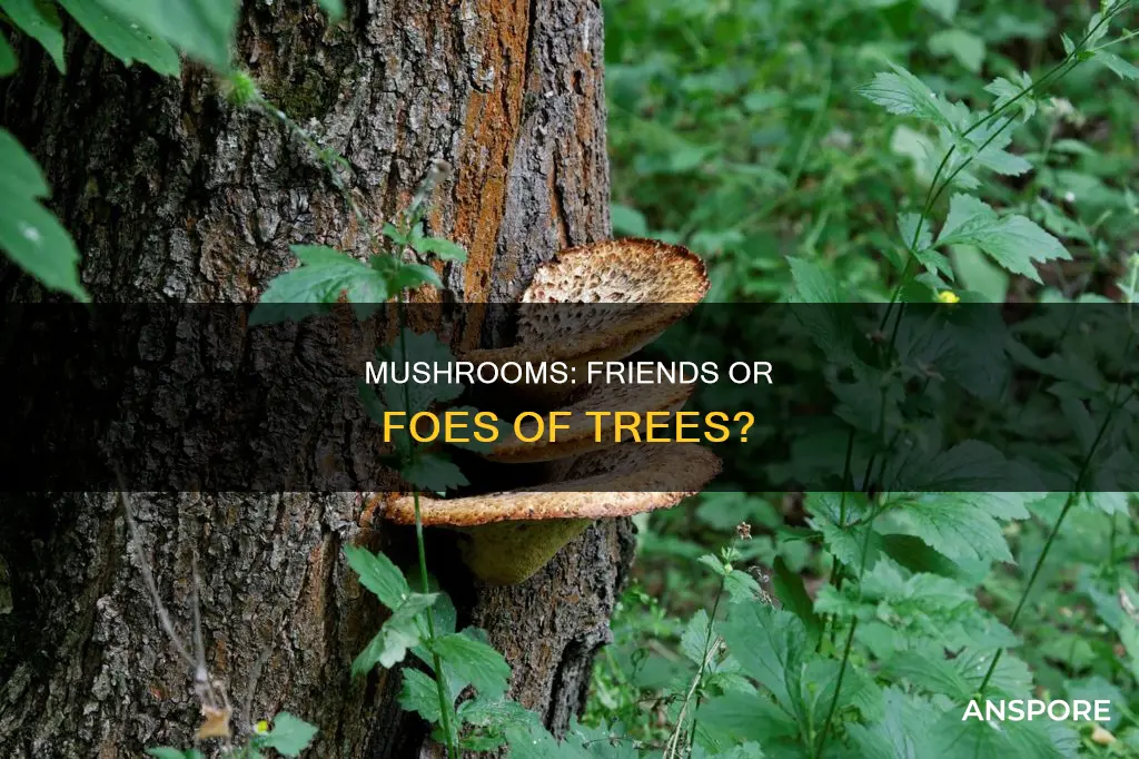 do mushrooms harm trees