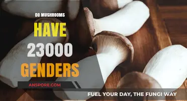 Mushrooms: Exploring the Complexities of Their Many Genders