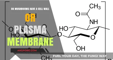 Mushrooms' Cellular Structure: Cell Wall vs. Plasma Membrane Explained