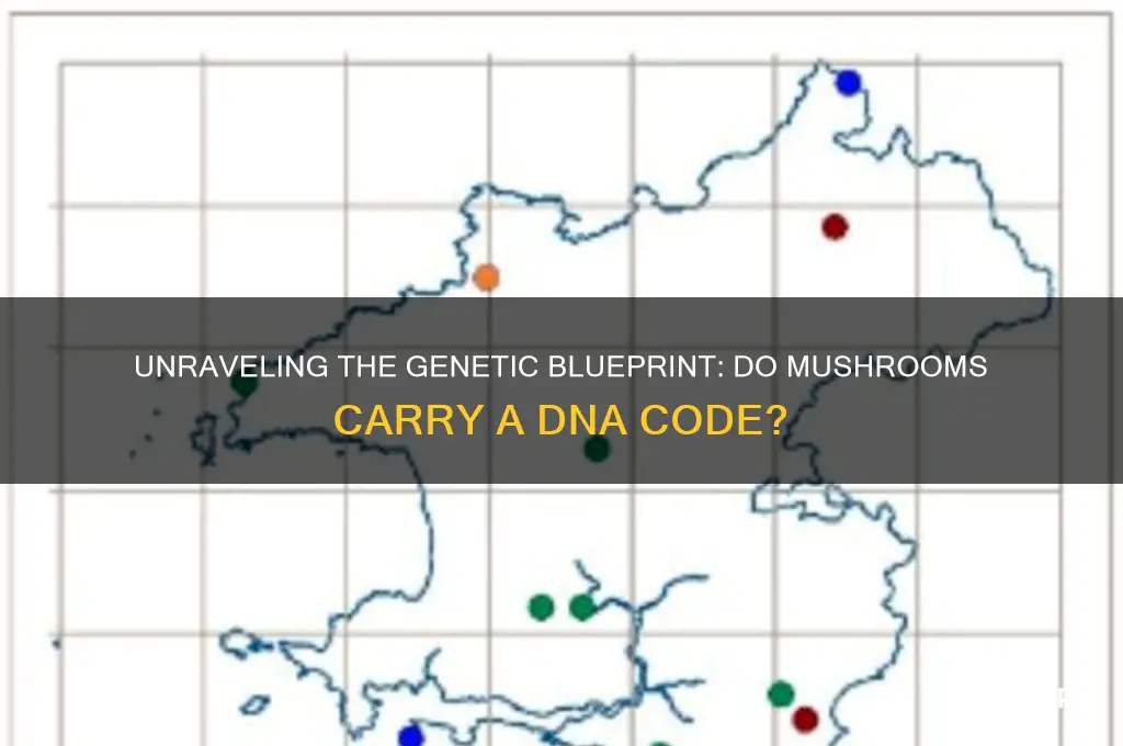 do mushrooms have a genetic code