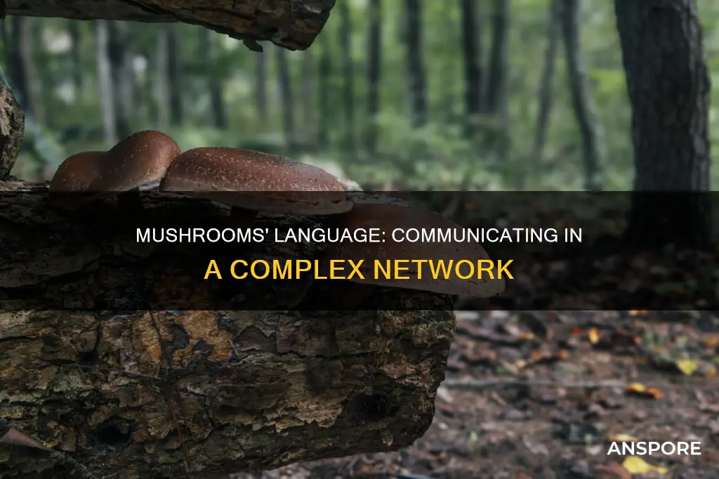 do mushrooms have a language