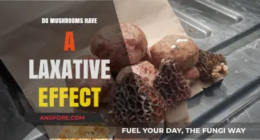Can Mushrooms Cause Laxative Effects? Exploring Their Digestive Impact