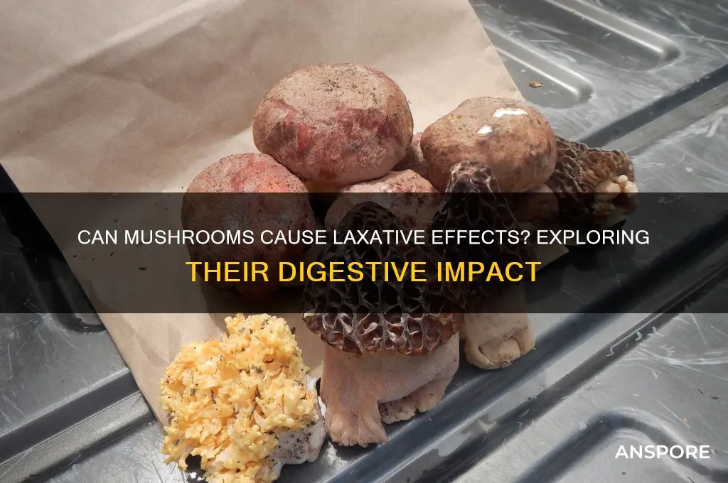 do mushrooms have a laxative effect