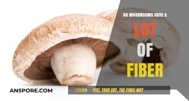 Mushrooms and Fiber: Unveiling Their Surprising Nutritional Benefits