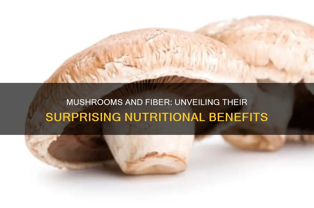 do mushrooms have a lot of fiber