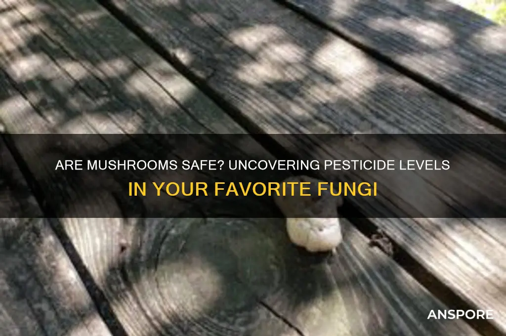 do mushrooms have a lot of pesticides