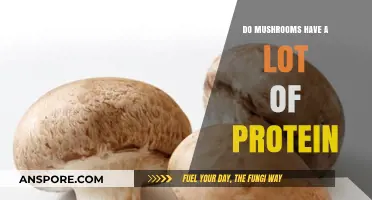 Mushrooms and Protein: Unveiling Their Nutritional Power and Health Benefits