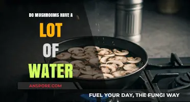 Mushrooms and Moisture: Unveiling Their Surprising Water Content