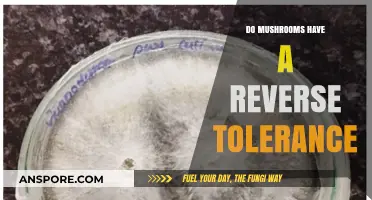 Mushrooms and Reverse Tolerance: Unraveling the Psychedelic Experience Mystery