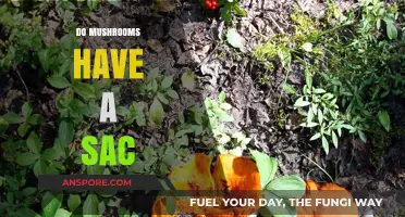 Mushroom Secrets: Do They Have a Sac?
