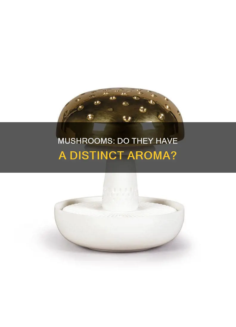 do mushrooms have a smell